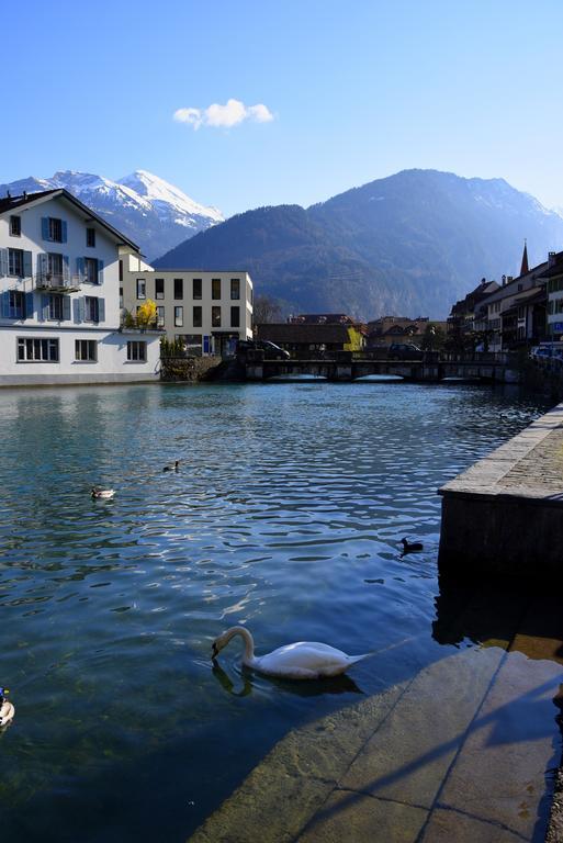 The River Holiday Apartment Interlaken Exteriér fotografie